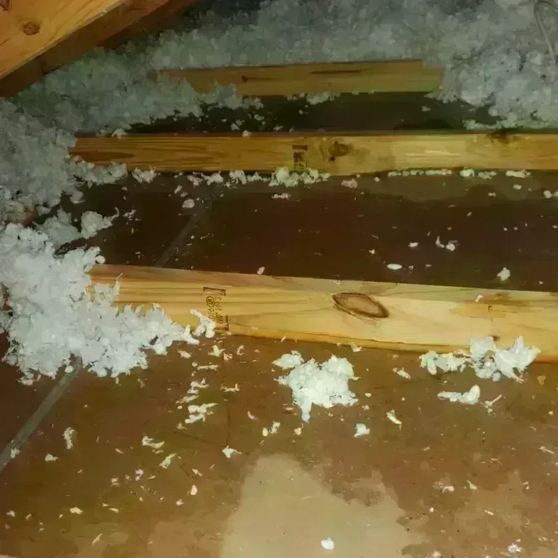 Attic Water Damage in Willowick, OH