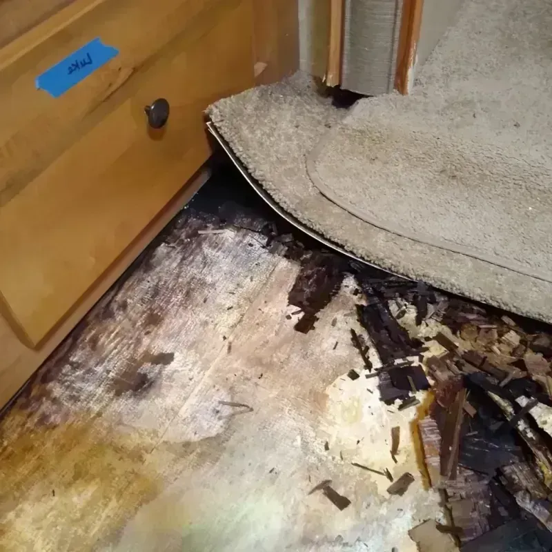 Wood Floor Water Damage in Willowick, OH